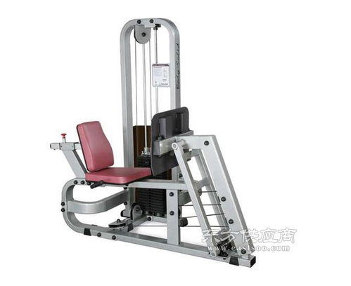 康輝健身器材 威海專業(yè)動感單車生產(chǎn)廠家圖鑒與選購指南